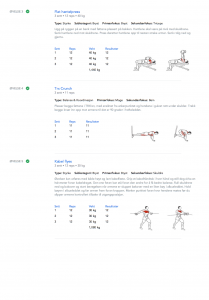 Treningsprogram PDF side 2